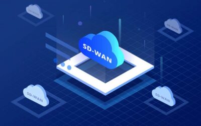 Avanza Hacia Sd-Wan As A Service