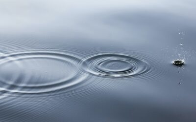 Momentum