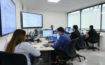 Funciones De Una Consultora Tecnológica